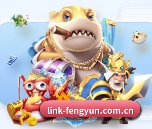 风云体育的故事